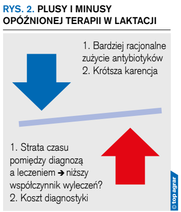 Rys. 2. Plusy i minusy opóźnionej terapii w laktacji