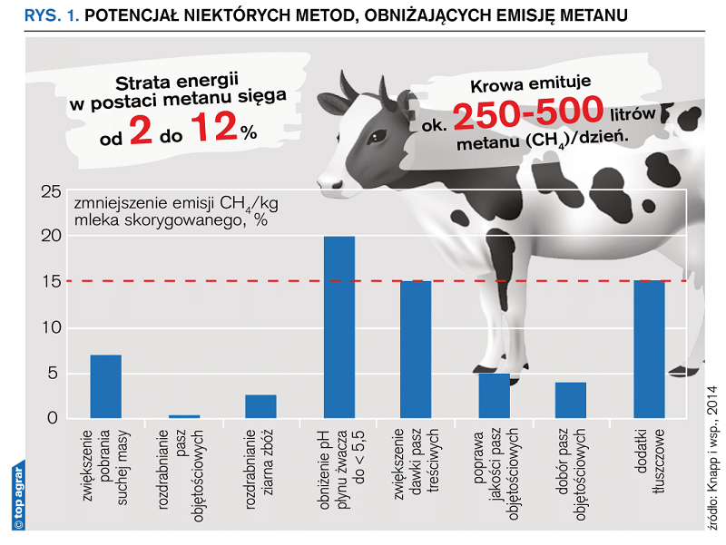 Potencjał niektórych metod obniżających emisję metanu