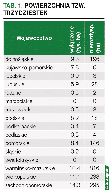 powierzchnia trzydziestek