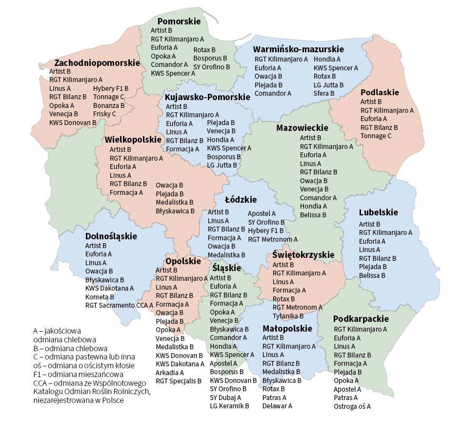 mapa loz pszenica ozima