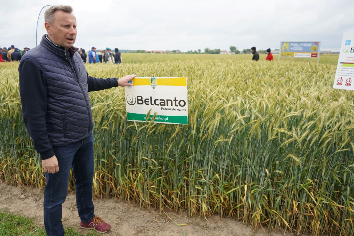 Jak podkreślał dr Dariusz Majchrzycki na tegorocznych Dniach Pola, odmiana Belcanto jest najczęściej rekomendowaną do uprawy na LOZ, a DANKO Hodowla Roślin to firma nr 1 w hodowli i komercjalizacji odmian pszenżyta ozimego. Najnowszą odmianą w tym gatunku jest Tributo o ponadprzeciętnej plenności i rekordowo wysokiej odporności na choroby