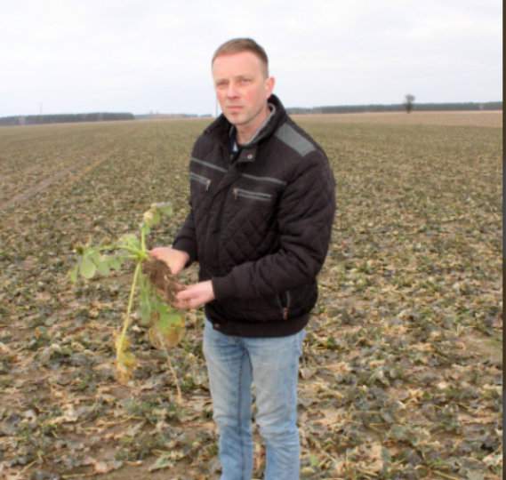 Jarosław Kesler prowadzi w miejscowości Stare Lubiejewo w gminie Ostrów Mazowiecka gospodarstwo rolne o powierzchni około 165 ha, z czego 90 ha stanowią grunty własne, a pozostałą część dzierżawione. Na 56 ha wysiany jest rzepak ozimy, 32 ha zajmuje pszenica ozima, 22 ha jęczmień ozimy, 14 ha pszenżyto ozime, a na pozostałej powierzchni wysiana zostanie kukurydza na ziarno. Tylko sporadycznie w płodozmianie pojawia się jęczmień jary. Jarosław Kesler oprócz prowadzenia uprawy roślin zajmuje się produkcją żywca wieprzowego w cyklu otwartym. Jednorazowo wstawia do tuczu około 400 warchlaków.