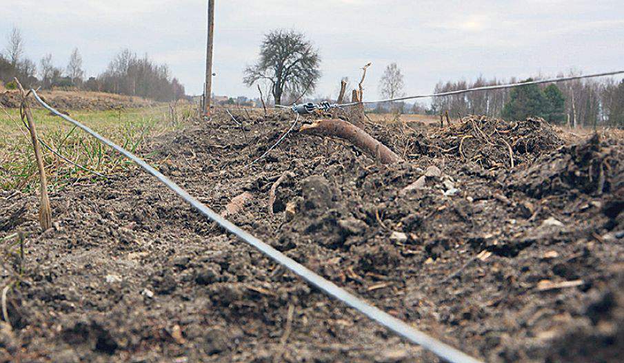 Rolnik stracił plantację topinamburu, bo myśliwi grodzili pole przez 2 miesiące