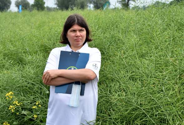 Obok tego imonującego rzepaku odmian Dekalb z technologiami ochrony Bayer, w tegorocznej odsłonie polowego spotkania w Pordenowie Iwona Krych-Stec, Head of Marketing Crop Science w Bayer Polska podkreślała znaczenie rozwijających się rozwiązań cyfrowych