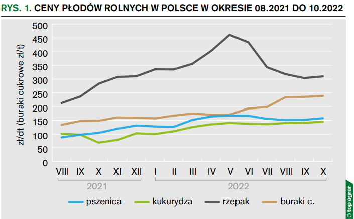 Rys. 1. Ceny płodów rolnych w Polsce w okresie 08.2021 do 10.2022