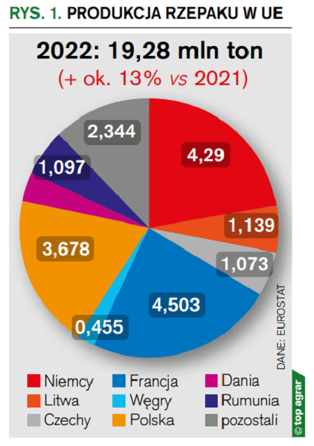 rys.  1 produkcja rzepaku w UE