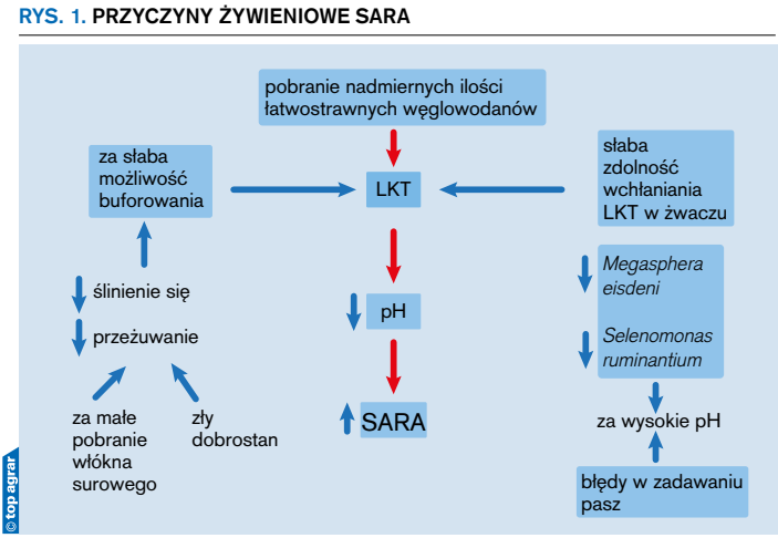 Rys. 1. Przyczyny żywieniowe SARA