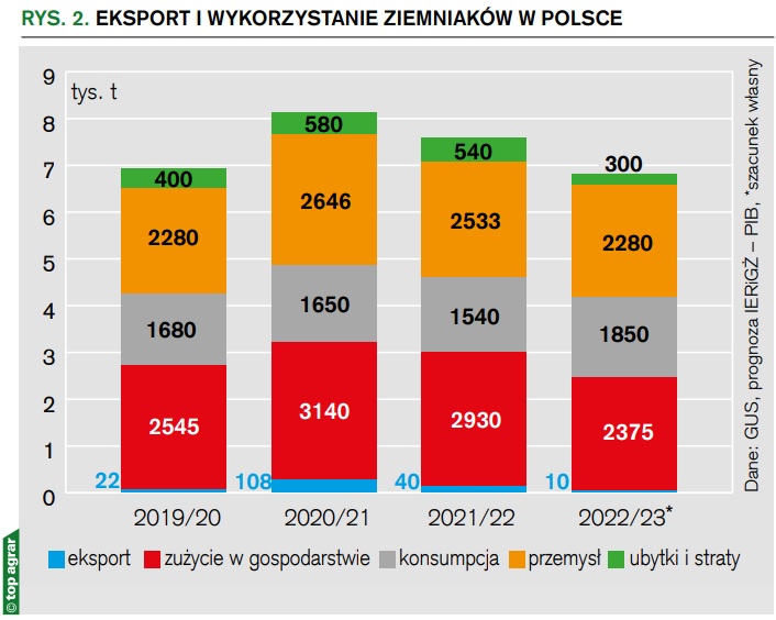 eksport i wykorzystanie ziemniaków w Polsce