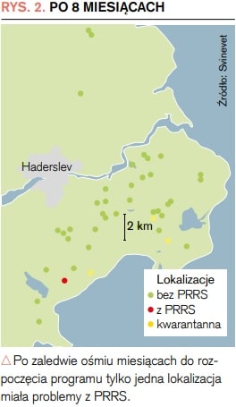 Po zaledwie ośmiu miesiącach do rozpoczęcia programu tylko jedna lokalizacja miała problemy z PRRS.