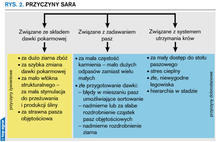 Rys. 2. Przyczyny SARA