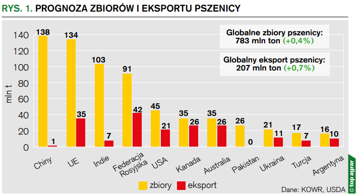 Prognoza zbiorów i eksportu pszenicy