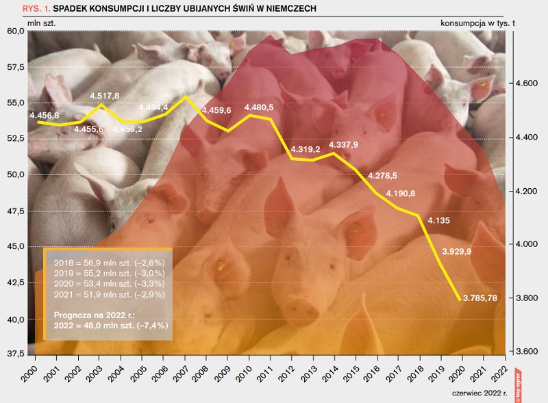 Rys. 1. Spadek konsumpcji i liczby ubijanych świń w Niemczech
