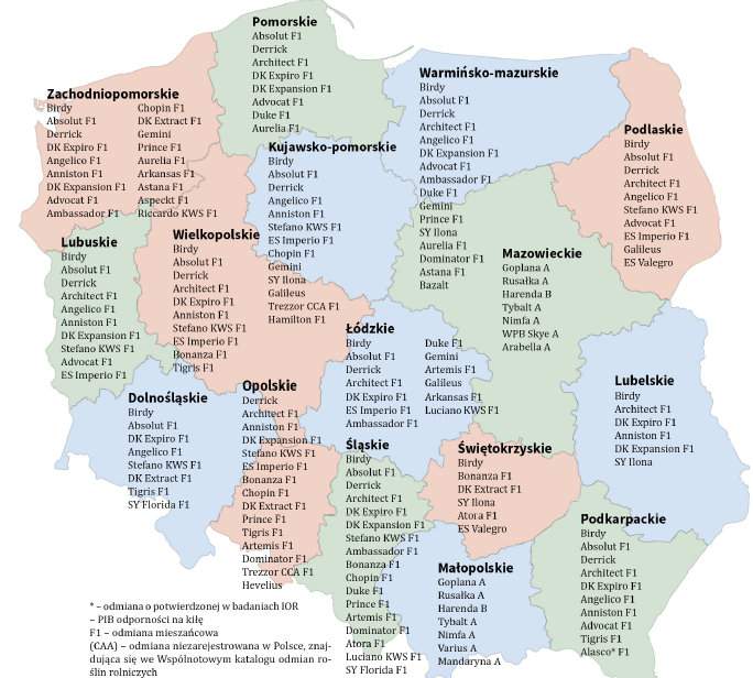 Pozycję lidera LOZ rzepaku ozimego na 2021 r. z rekomendacją 10 województw zajmuje odmiana populacyjna Birdy