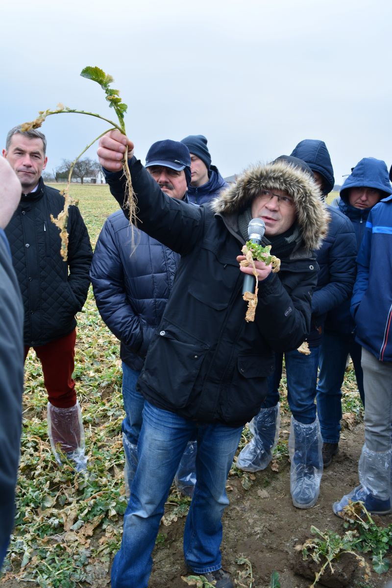 Prof. dr hab. Witold Szczepaniak jeszcze raz, ale na polach kilka lat temu w Spytkówkach. Najlepiej bowiem przemawia do rolników nauka, ale połączona z praktyką, czyli na polu. Tam można pokazać na żywych roślinach ich niedobory, potrzeby, ocenić potencjał plonowania