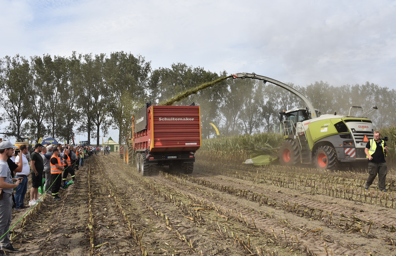 Claas dla kukurydzy, ale także i kombajnów przewidział system Auto Pilot. Dzięki niemu maszyny są prowadzone automatycznie w łanie.