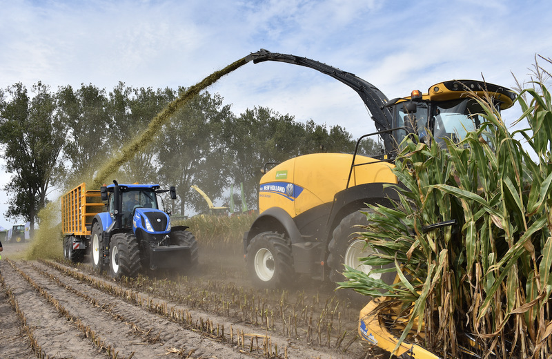 Sieczkarnia New Holland Forage Cruiser FR650. Każdy pierwszy przejazd sieczkarni odbywał się z wyładunkiem za nią.