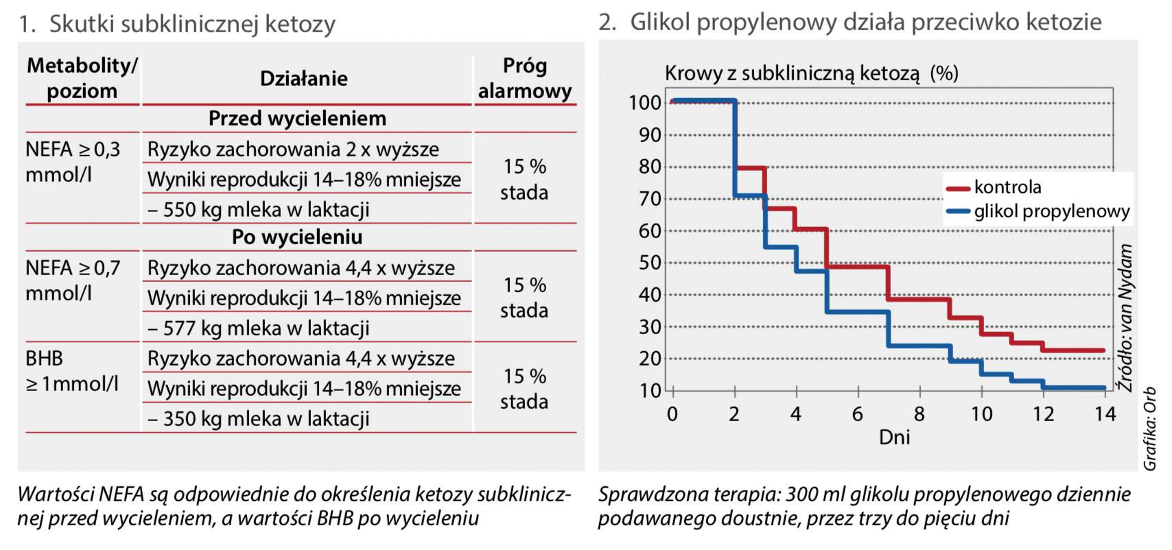 Skutki ketozy