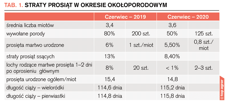 Straty prosiąt w okresie okołoporodowym