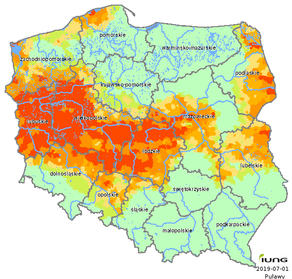 Susza w rzepaku objęła 14 województw i wystąpiła na 26% gruntów ornych 