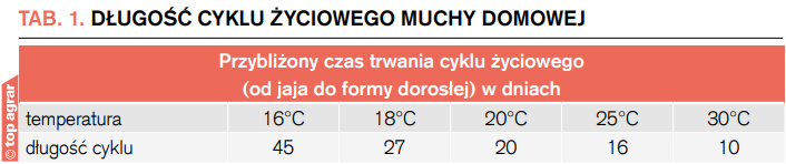 Długość cyklu życiowego muchy domowej w zależności od temperatury otoczenia. 