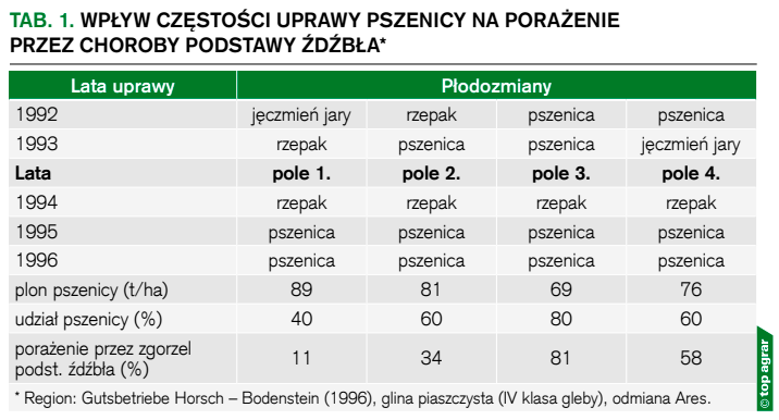 Tab. 1. Wpływ częstości uprawy pszenicy na porażenie przez choroby podstawy źdźbła