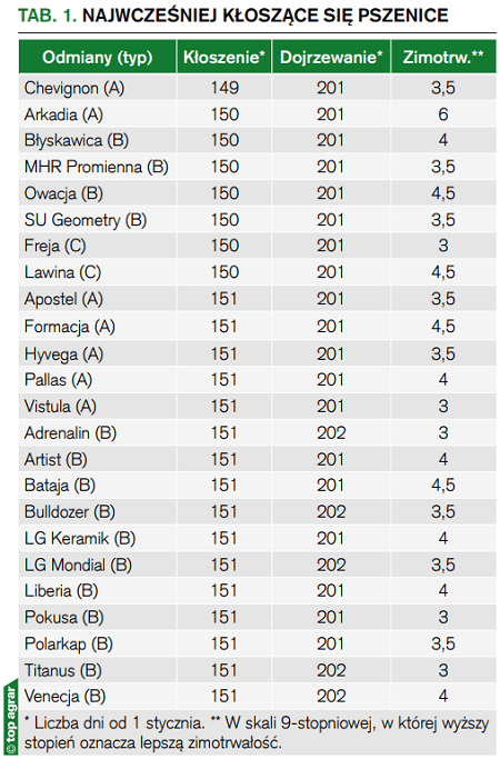 Tab. 1. Najwcześniej kłoszące się pszenice