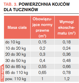 powierzchnia kojców dla tuczników