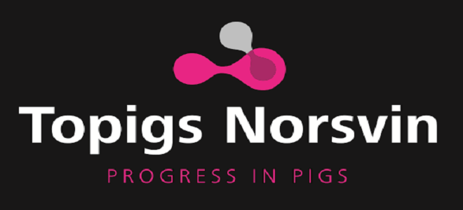 Topigs Norsvin