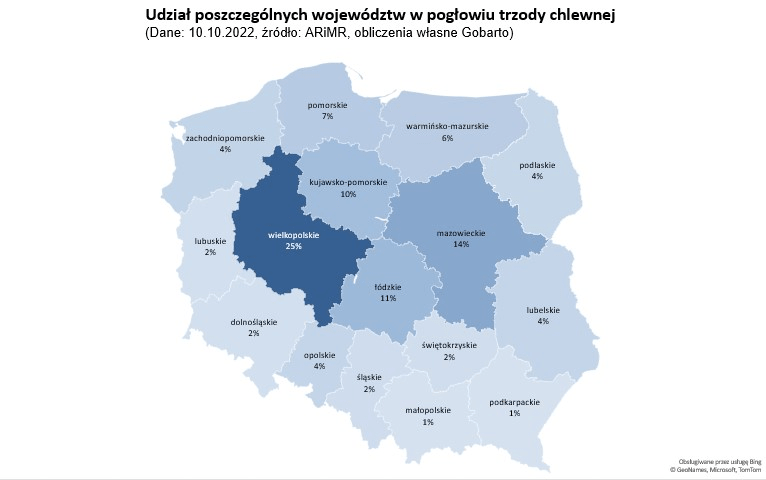 Udział poszczególnych województw w pogłowiu trzody chlewnej w polsce