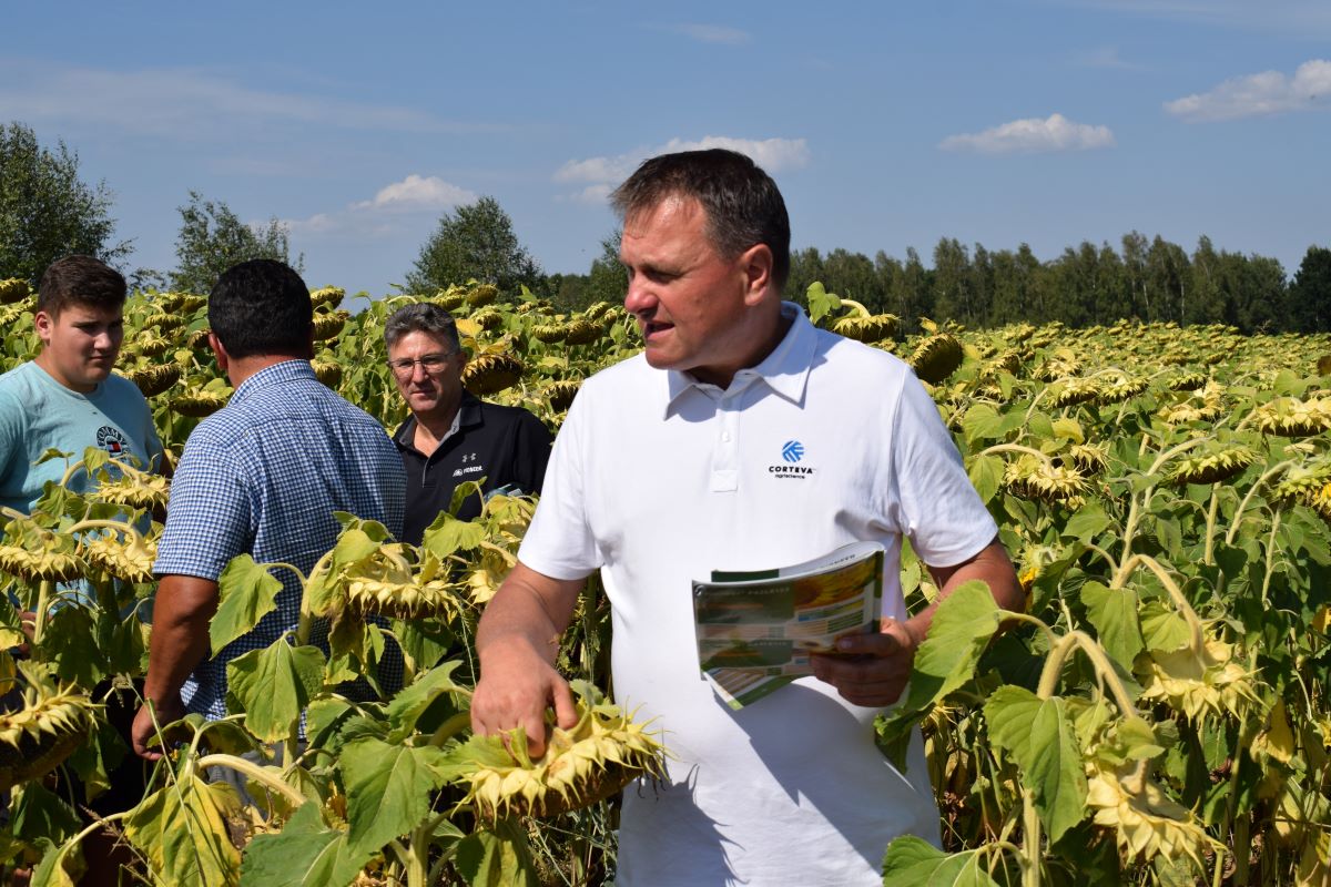 Dr Andrzej Borychowski, agronom Corteva przypominał, że przy słoneczniku zbieramy tylko koszyki, czyli samą górę, więc duża ilość resztek pożniwnych trafi do gleby, co jest bardzo dużym atutem zwłaszcza tu na lekkich glebach