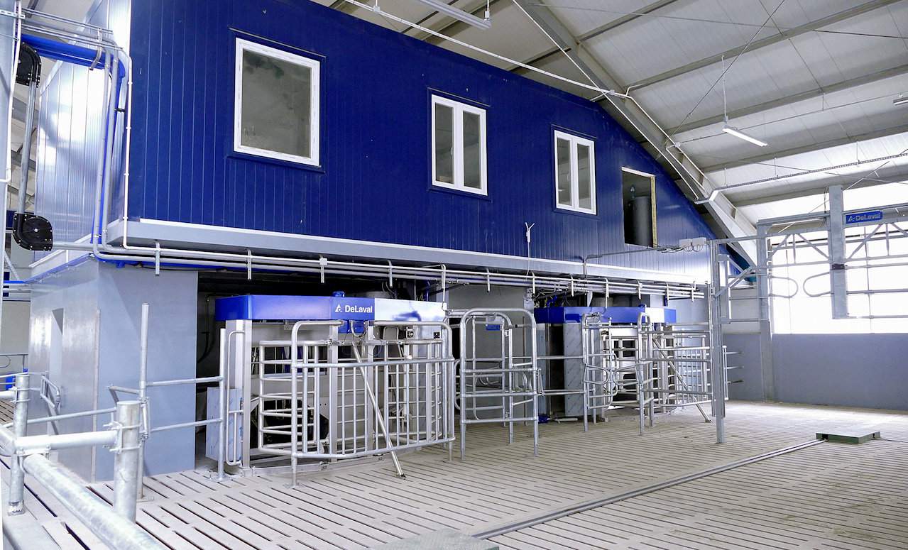 ...w drugiej 4 urządzenia firmy DeLaval.  Na całej szerokości obory przestrzeń nad robotami została zabudowana i powstały w niej pomieszczenia biurowe i socjalne 
