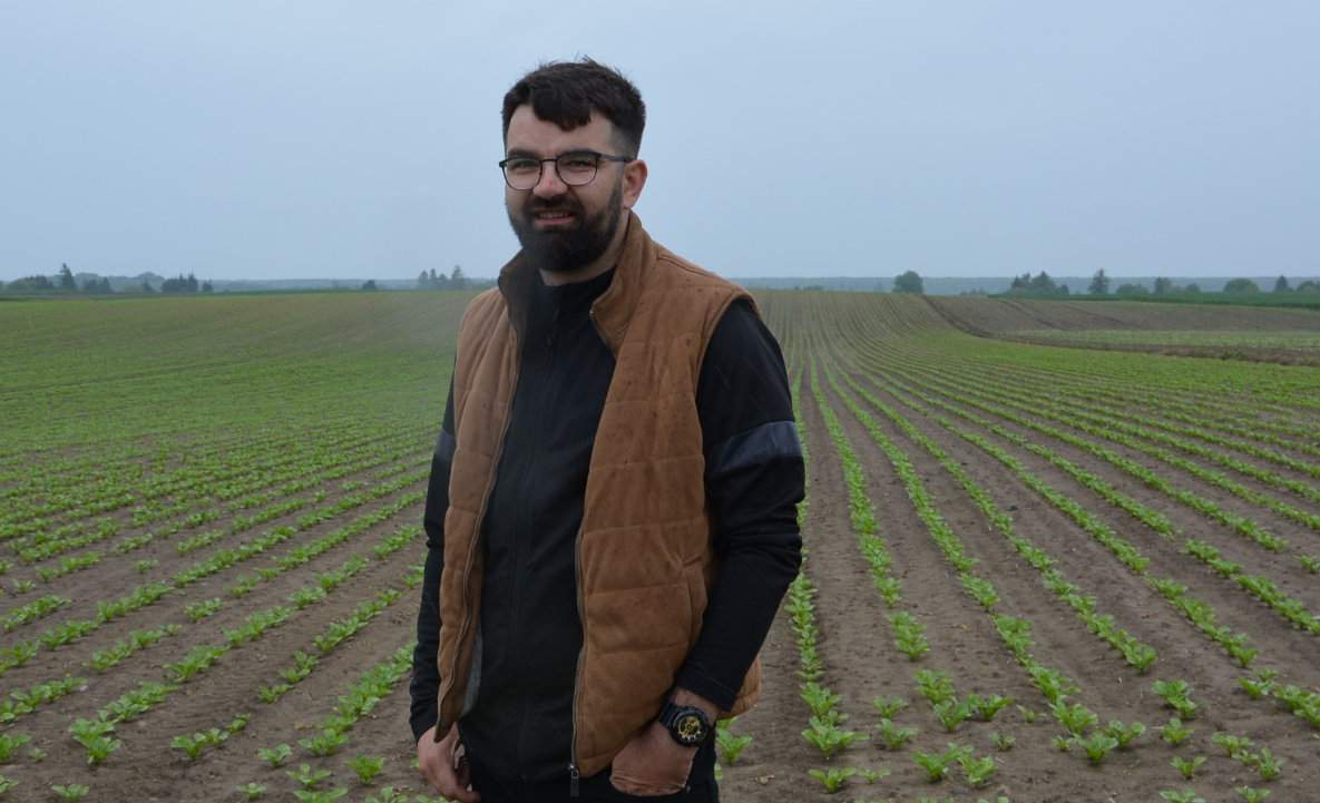 Michał Wawryk na plantacji buraków cukrowych