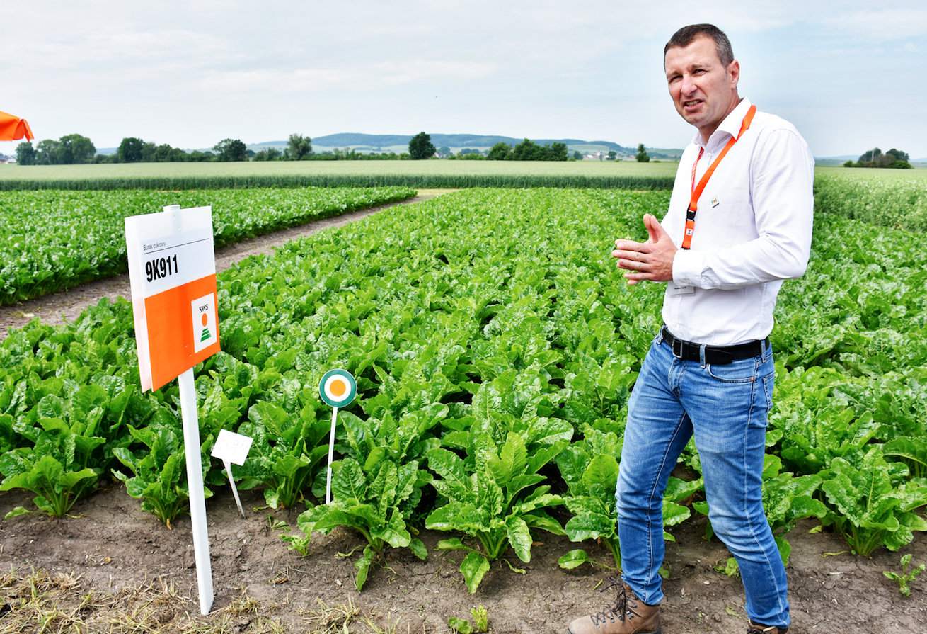 W badaniach rejestrowych COBORU znajduje się odmiana 9K911. To nowa nadzieja technologii  CONVISO SMART. Odmiana prezentowana  w Kondratowicachprzez Waldemara Janiaka  nie ustępuje plennością odmianom standardowym (plonuje na poziomie wzorca), a ma też cechę odporności na nicienie