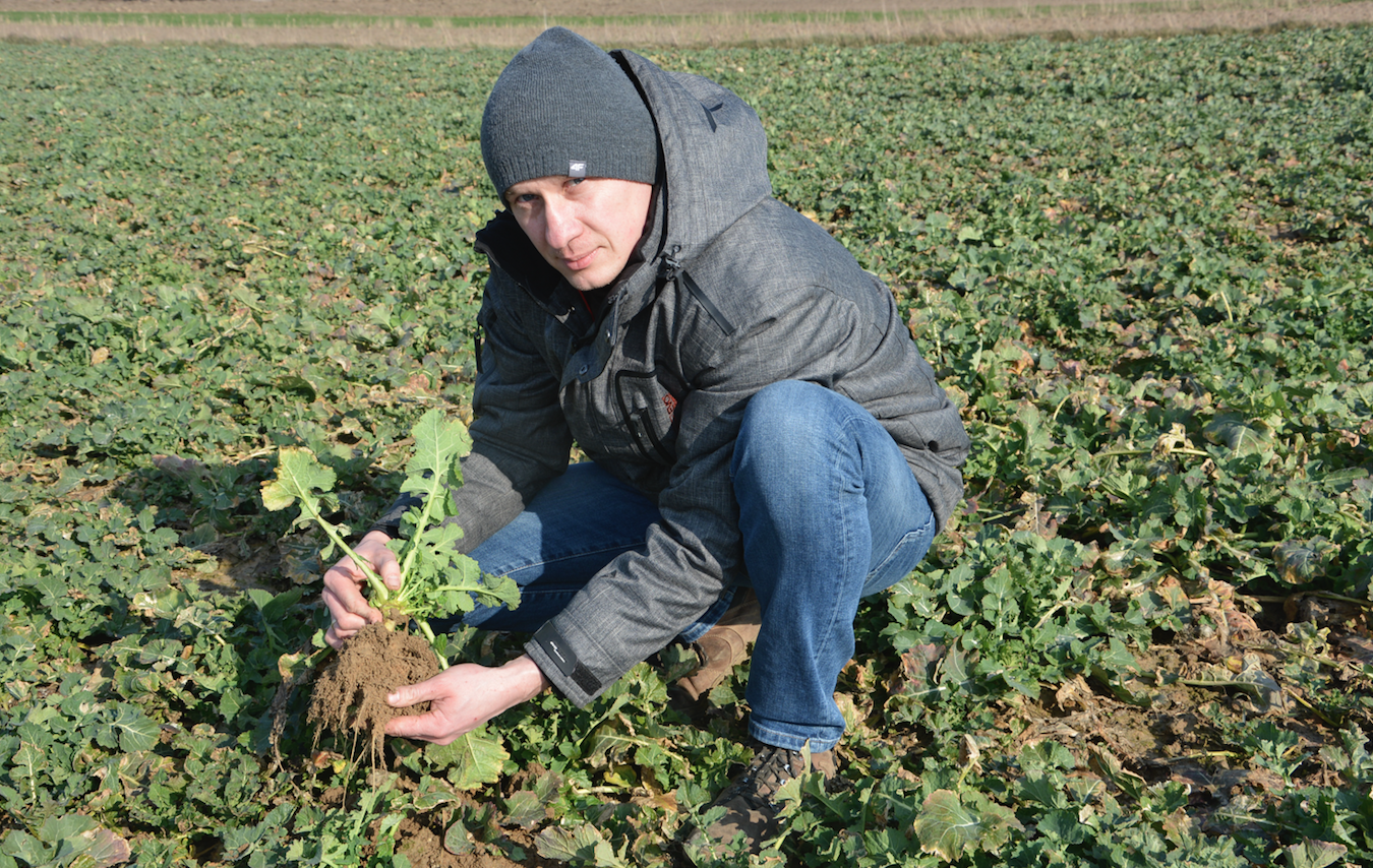 Odwiedziliśmy gospodarstwo, aby zapoznać się z agrotechniką soi. Była to też okazja, aby sprawdzić kondycję rzepaku ozimego. W pierwszej dekadzie marca plantacja prezentowała się znakomicie