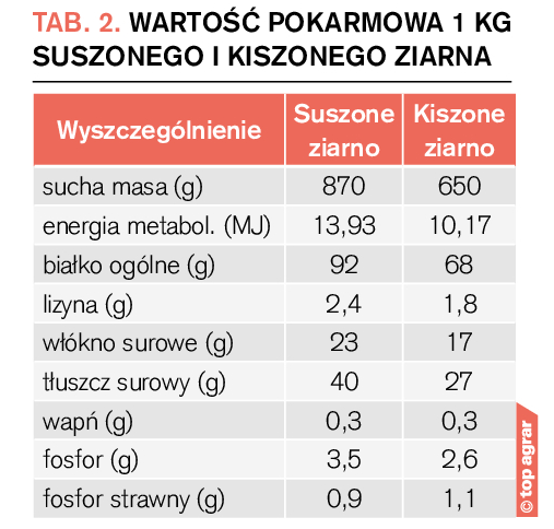 Wartość pokarmowa 1 kg suszonego i kiszonego ziarna