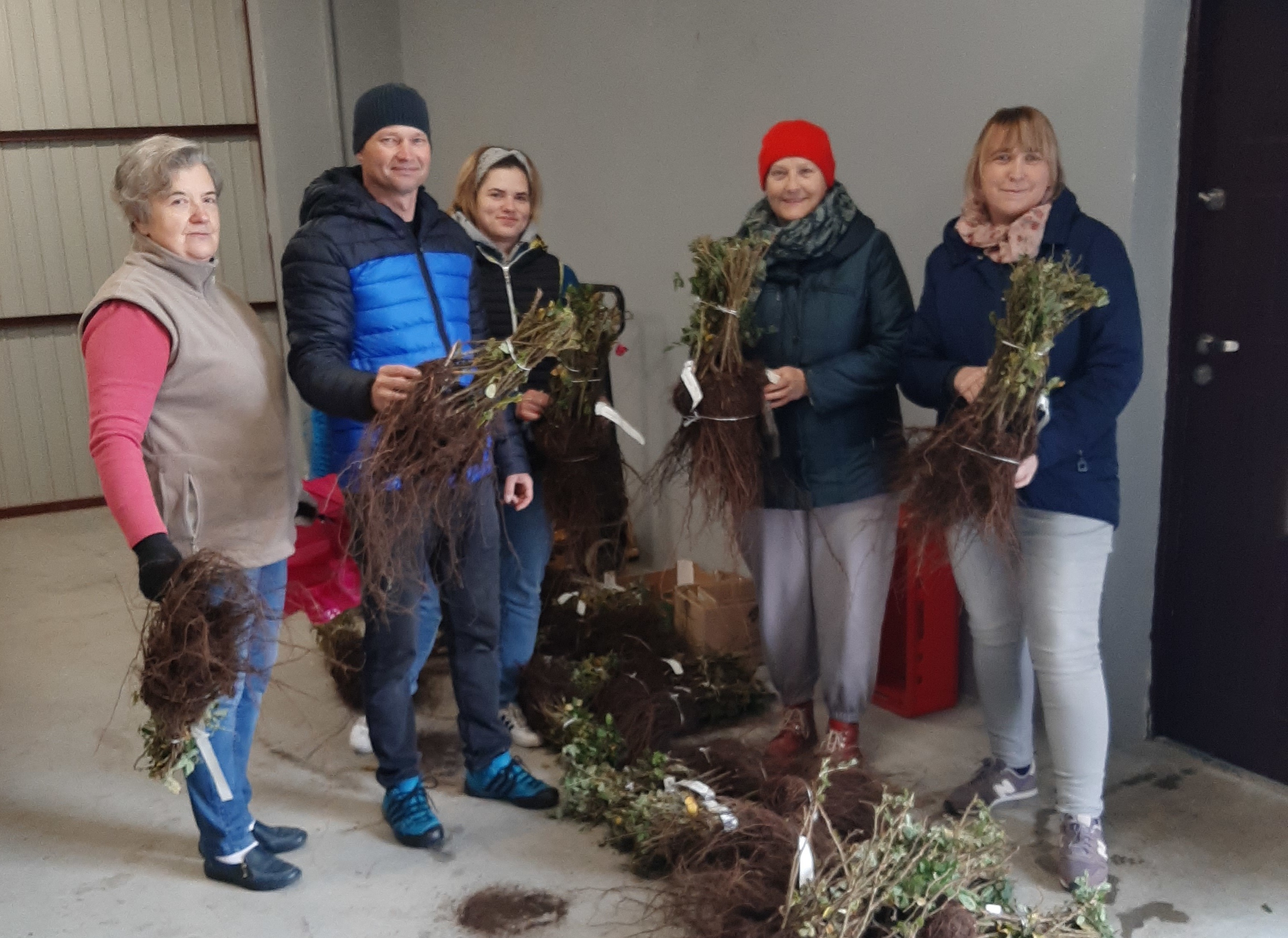 Trzy tygodnie temu w Wilkowicach odbyła się akcja sadzenia róż w miejscach publicznych. Od Janki (pierwszej z lewej) mieszkańcy wciąż na nowo zarażają się energią