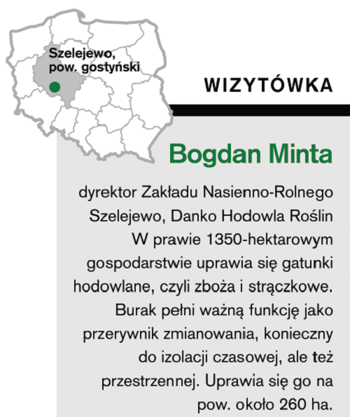 Bogdan Minta dyrektor Zakładu Nasienno-Rolnego Szelejewo, Danko Hodowla Roślin