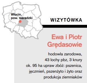 Grędas, polsus, lochy, na ściółce