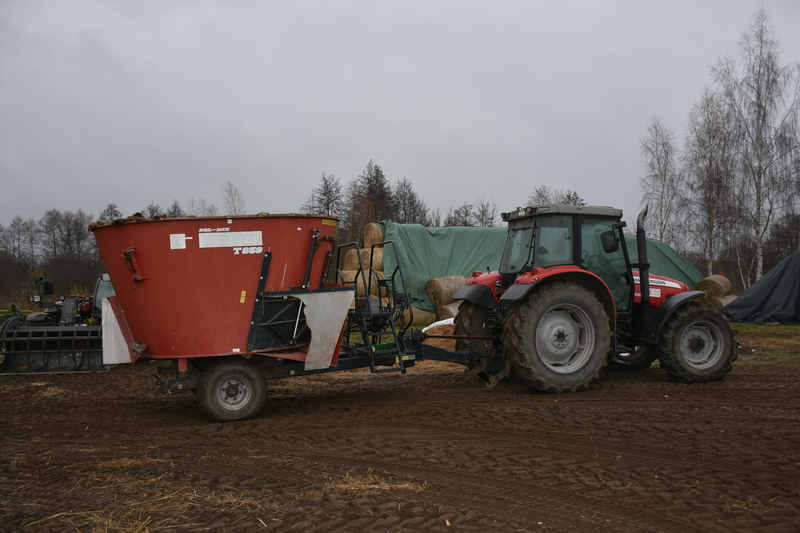 Wóz paszowy Metal-Fach o pojemności 8 m3, współpracuje z ciągnikiem Massey Ferguson