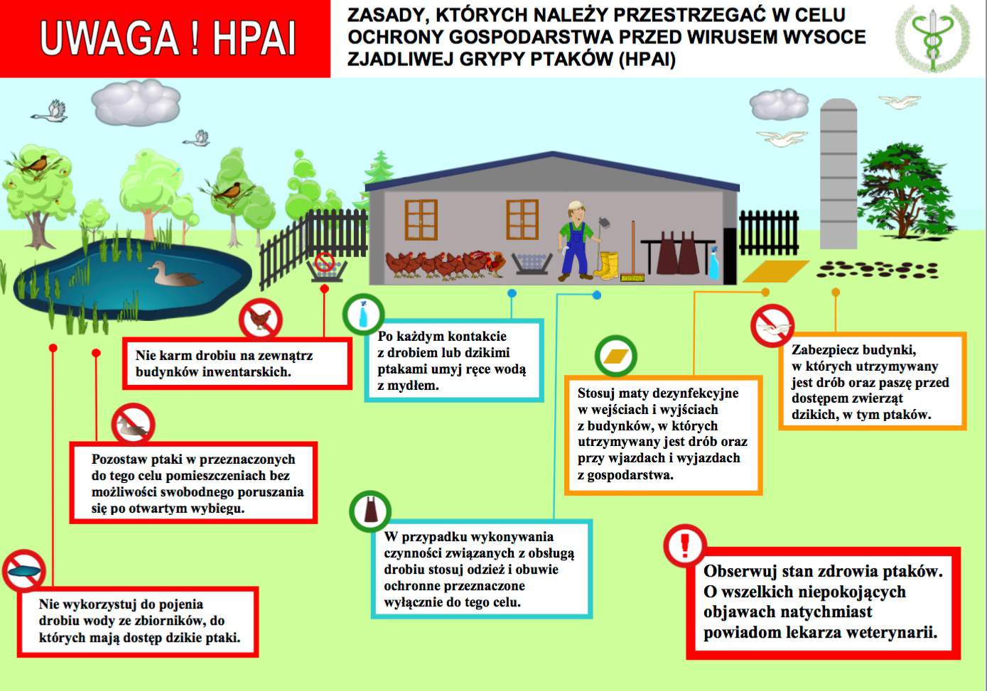 zasady ochrony gospodasrtwa przed ptasią grypą