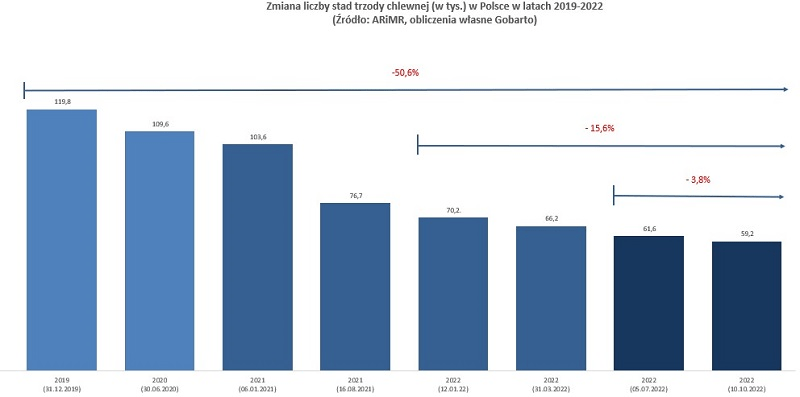 zmiana liczby stan trzosy chlewnej w polsce w latach 2019-2022-min