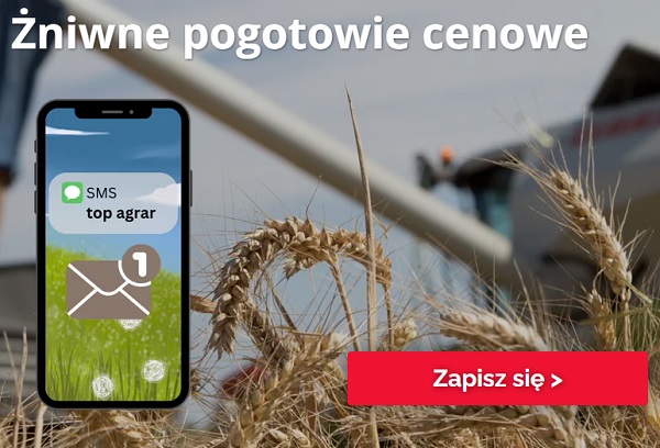 zniwne pogotowie cenowe